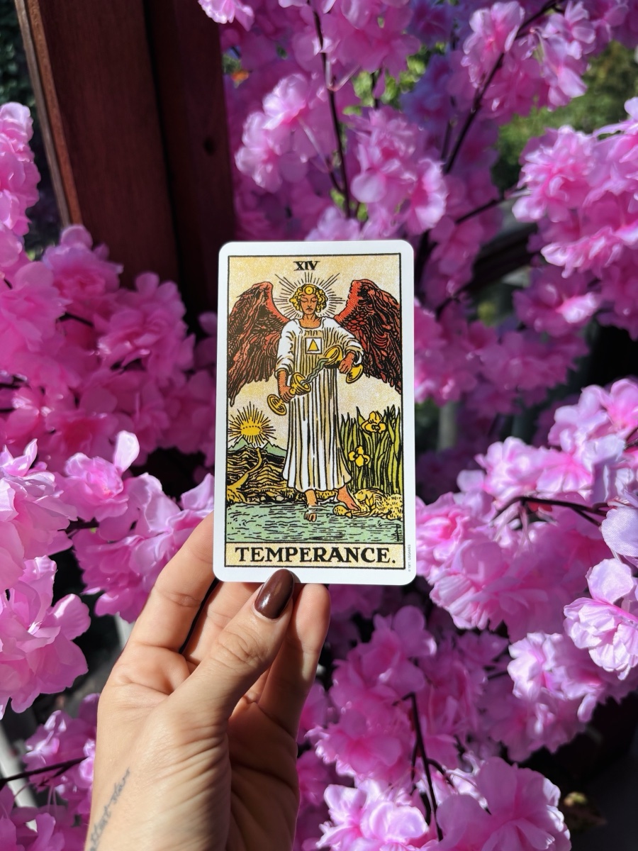 The Temperance tarot card held against pink blossom